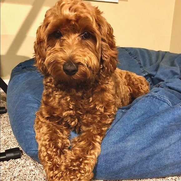 Meet your Posher, Christina - Picture 1 of 1